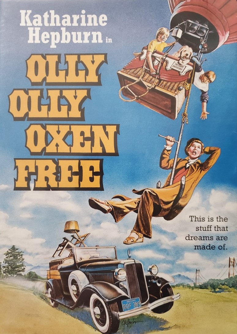 roadrunner<em>balloon</em>site